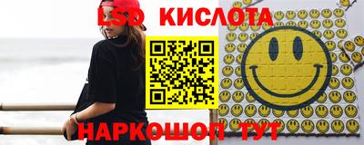 сатива Можга