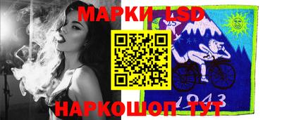 крисы Моздок