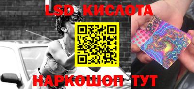 сатива Можга