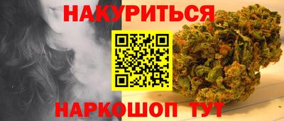 крисы Моздок