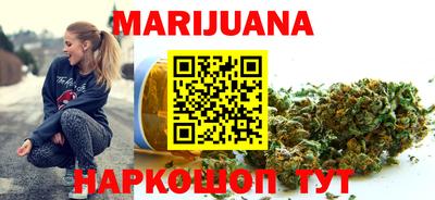 крисы Моздок