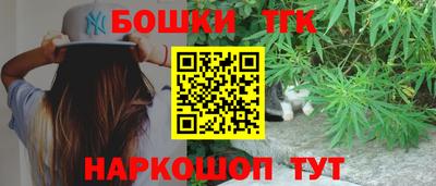 крисы Моздок