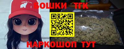 крисы Моздок