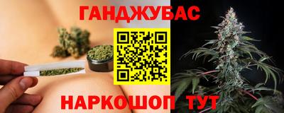 крисы Моздок