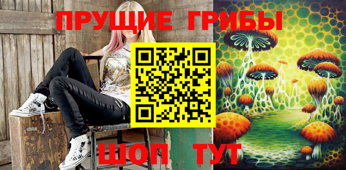 Среднеуральск  Псилоцибиновые грибы Psilocybe  Псилоцибиновые грибы ЛСД  Вход с VPN 