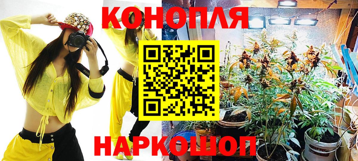 Среднеуральск  Конопля планчик  Вход с VPN  Бошки Шишки ГИДРОПОН  МАРИХУАНА тримм 